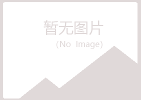 河南紫山化学有限公司